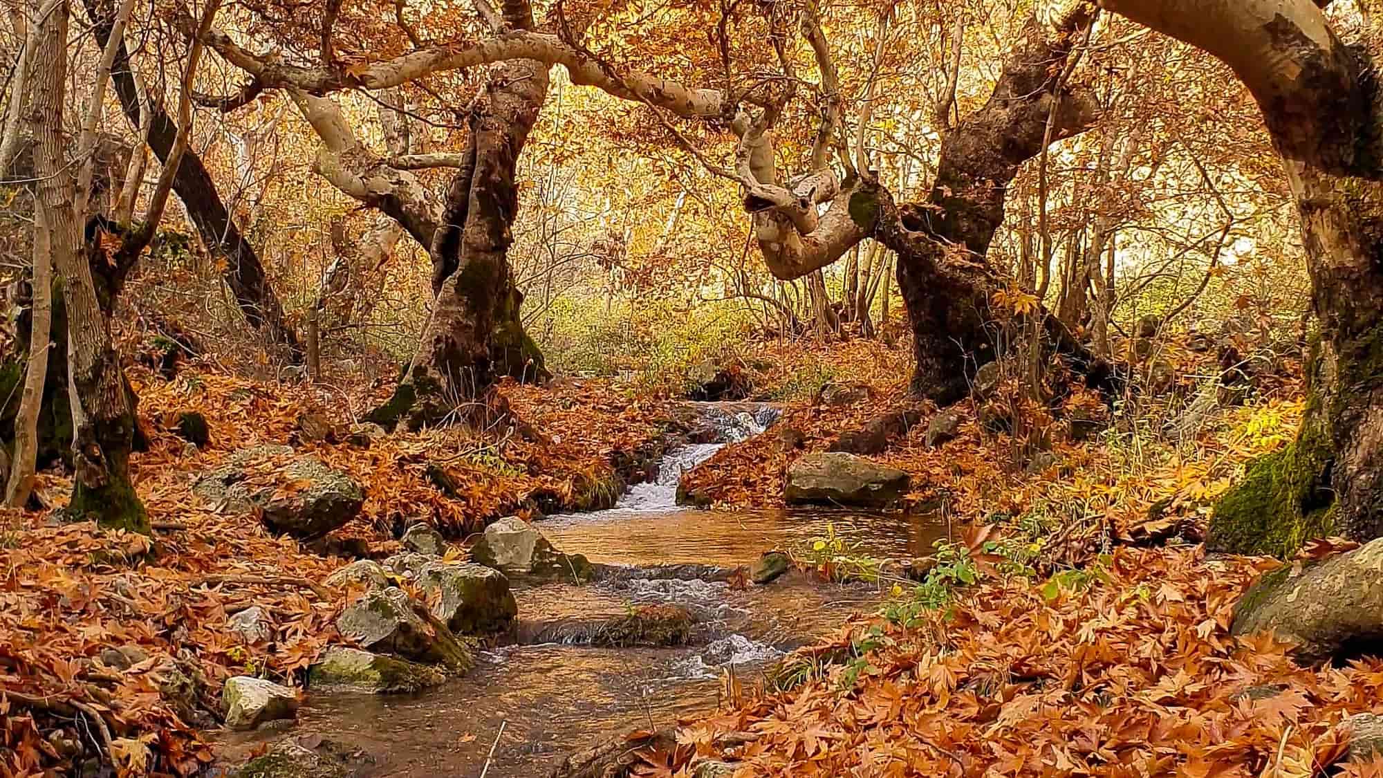 10+1 things to do in October in Halkidiki