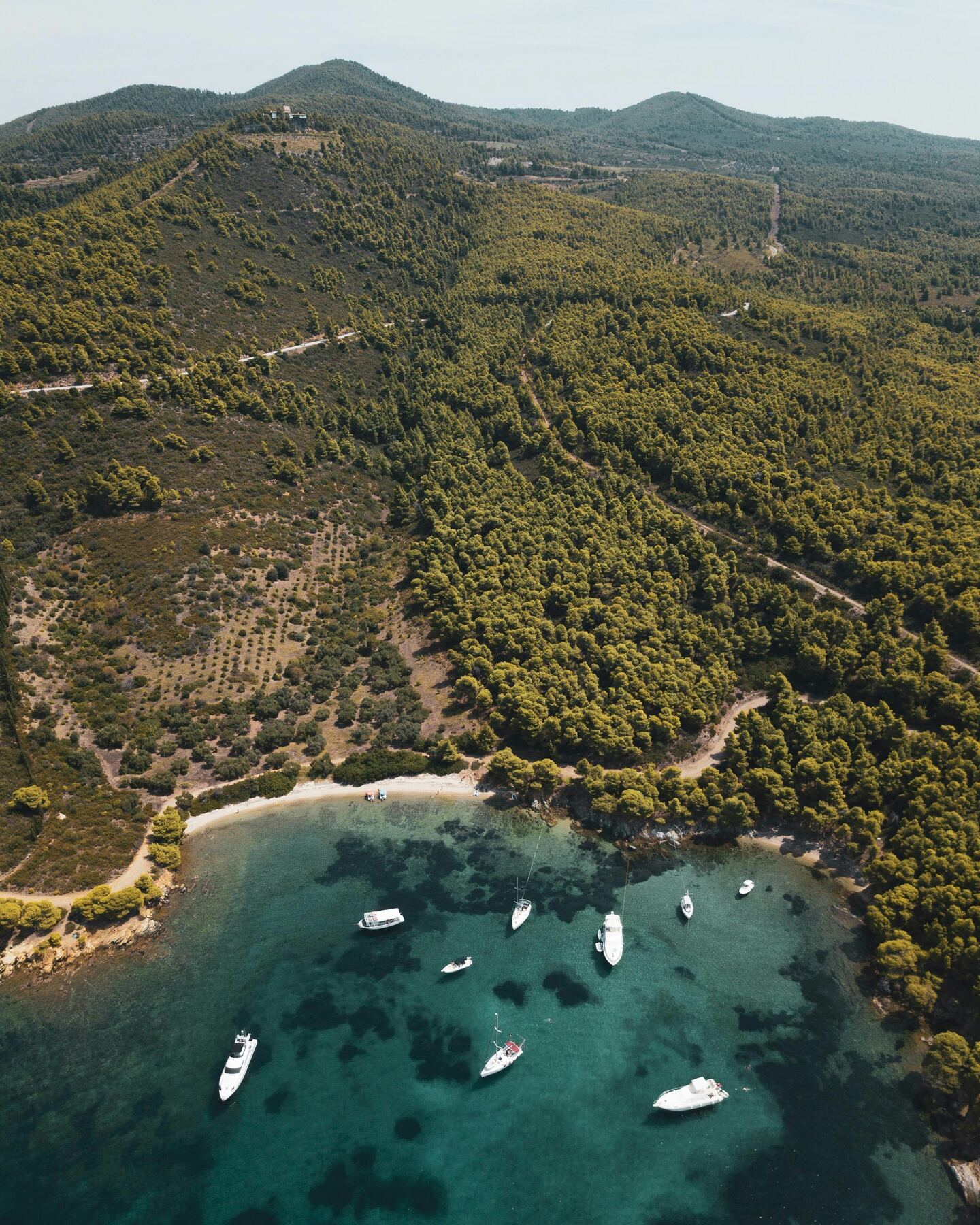 Aerial view of a pine-fringed cove with boats anchored in turquoise water, Halkidiki