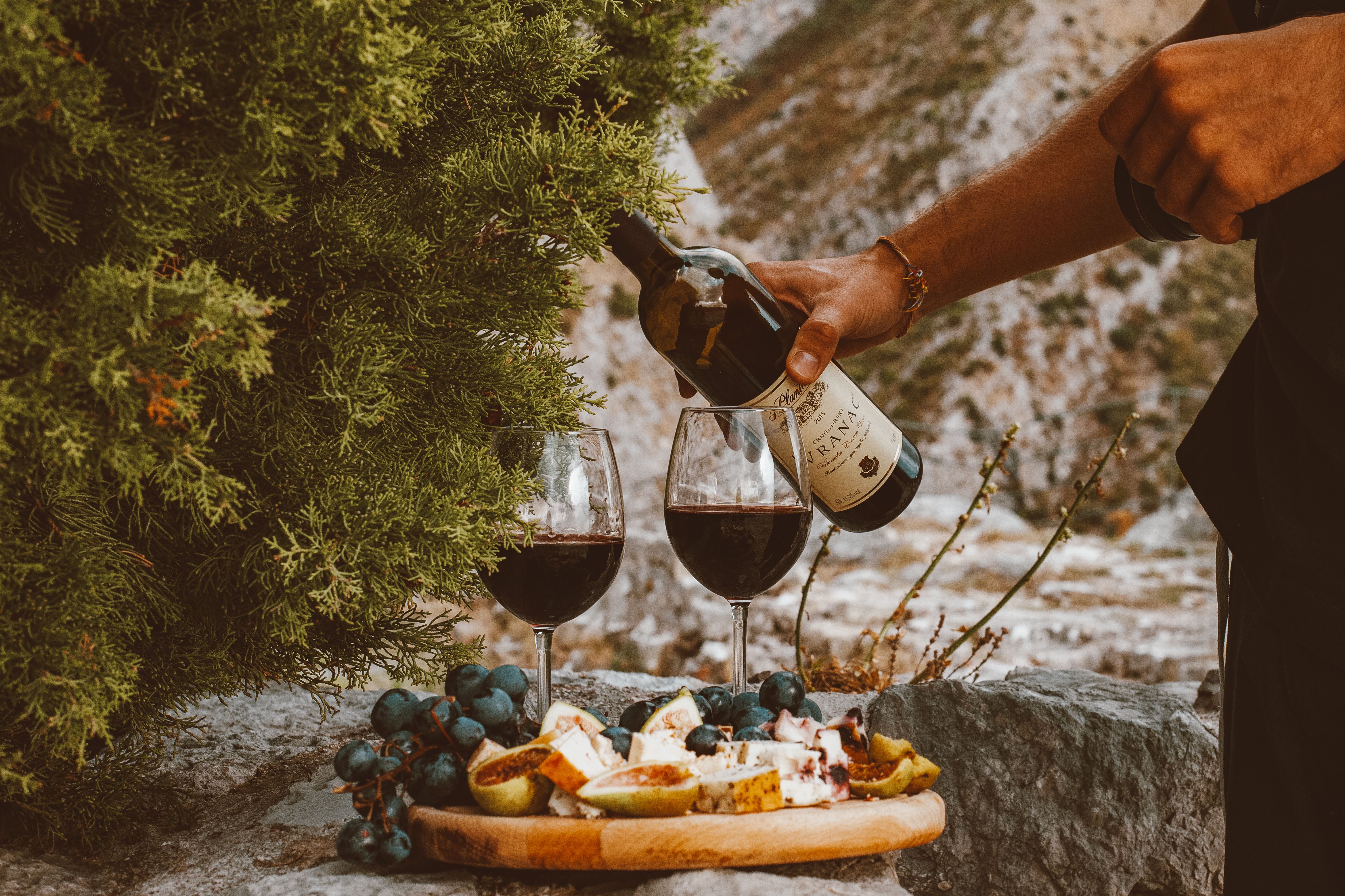 Wine Tasting with Sommelier